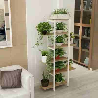 綠植租賃的核心優勢